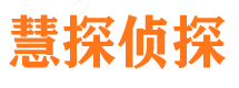 平桥市侦探公司